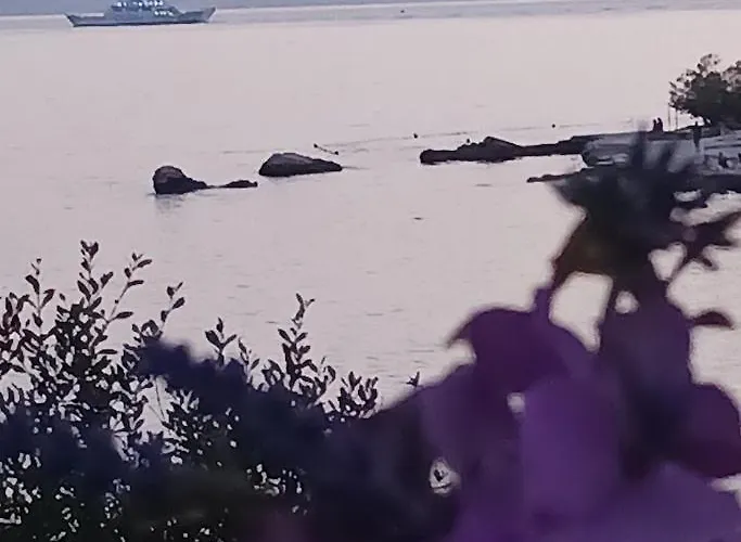 Magical View 스플리트